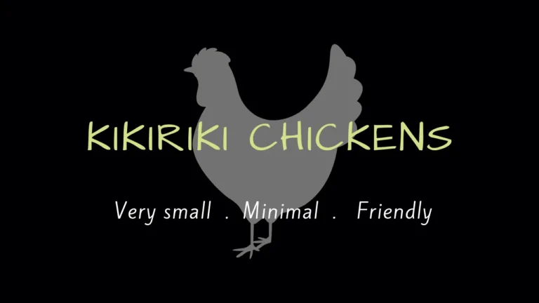 Kikiriki Chickens