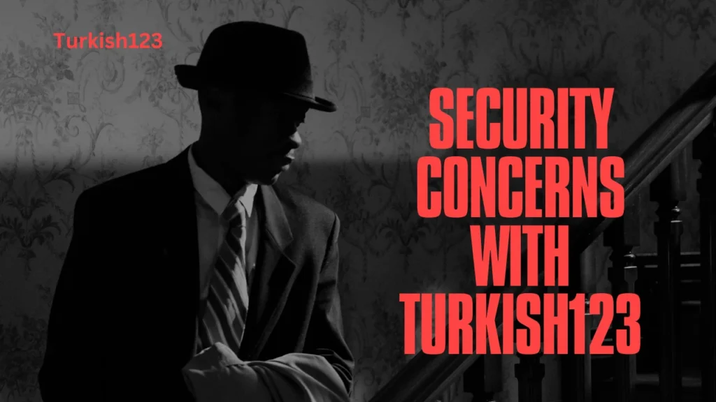 Security Concerns with Turkish123